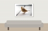 House Sparrow in Tignes — 70 × 50 cm
