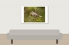 House Sparrow in 20250812 — 60 × 40 cm