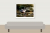 White-throated Dipper in Menétrux-en-Joux — 40 × 30 cm