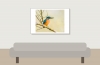 Alcedo Atthis 18 — Vergigny — 60 × 40 cm