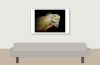 Iguana Iguana — 20251115-2025-11-15 — 60 × 40 cm