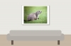 Marmota Marmota — 20250811 — 70 × 50 cm