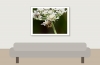 Misumena Vatia — 20250722 — 40 × 30 cm