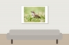 House Sparrow in 20250812 — 60 × 40 cm