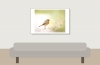 European Robin in 20251201 — 60 × 40 cm