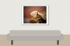 Rhombodera Kyrbyi — 70 × 50 cm