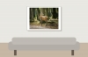 Cervus Elaphus — 20251014 — 70 × 50 cm