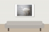 Egretta Garzetta — 20251201 — 60 × 40 cm