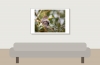 House Sparrow in 20251201 — 60 × 40 cm