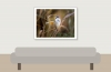 House Sparrow in 20251201 — 40 × 30 cm