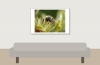 Apis Mellifera — Cheny
