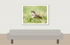 House Sparrow in 20250812 — 40 × 30 cm