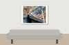 Podarcis Muralis — 20250521 — 70 × 50 cm