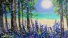 Bluebell woods 