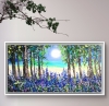 Bluebell woods 