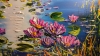 Water lilies 