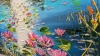 Water lilies 