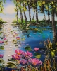Water lilies 