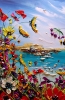 Coastal wildflowers 