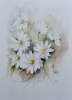 A Daisy is never alone
