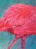 Le Flamant Rose