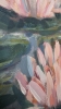 Lily Pond