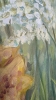 Flowers White and Yellow