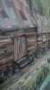 Canyon House