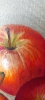 \"The Taste of Vibrant Colors\"