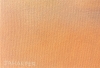 Sahara