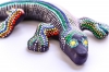 Lizard 
