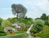 Rock garden