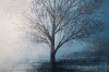 Winter Tree In Morning Mist