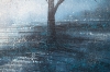 Winter Tree In Morning Mist
