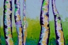 Autumn Magic Birch Forest 