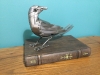 The keeper of books