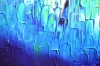 Relief Blue 32 - Large Abstract Ocean