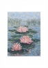 Lily Pond