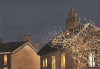 TIRED STARLINGS IN BLACK ROOF COUNTRY...1