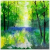 Misty Spring Woodland with Bluebells