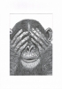 3 wise monkeys