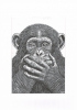 3 wise monkeys