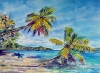 Island Light
