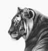 Quiet Majesty