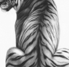 Quiet Majesty