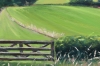 View from the Studio, Peak District