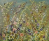 Wild Flower Meadow