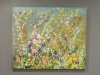 Wild Flower Meadow