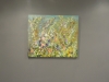 Wild Flower Meadow