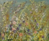 Wild Flower Meadow